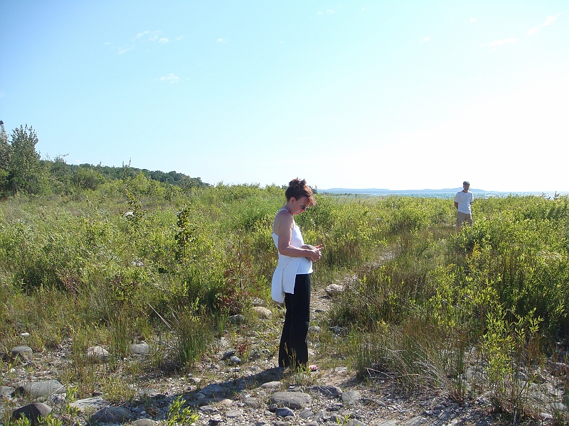 Western Michigan [2010] 901.JPG - Scenes from our trip to Western Michigan. Some places along the way were Ludington, Sleep Bear Dunes, and Traverse City.